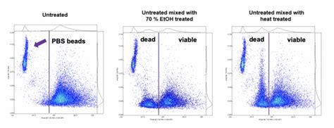 Bacteria Amphasys Single Cell Analysis