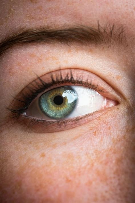 11 Central Heterochromia Spiritual Meanings And Superstition