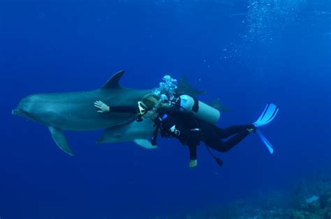 Underwater Photograph By Ocean Encounters Diving Curacao