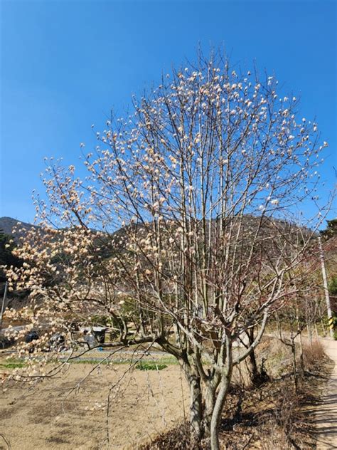 전남화순 화순 가볼만한곳 화순8경 세량지 네이버 블로그