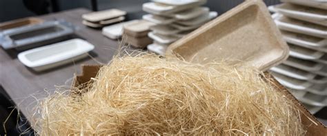 molded fiber western michigan university