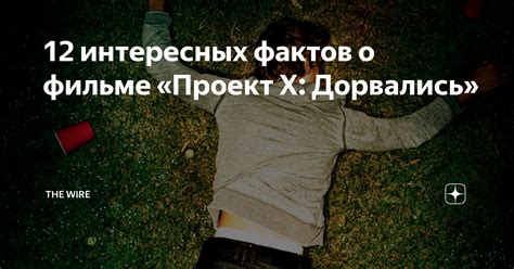 12 интересных фактов о фильме «Проект Х: Дорвались» | THE WIRE | Дзен