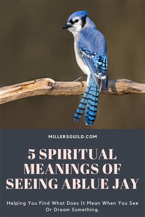 5 Spiritual Meanings of Seeing a Blue Jay