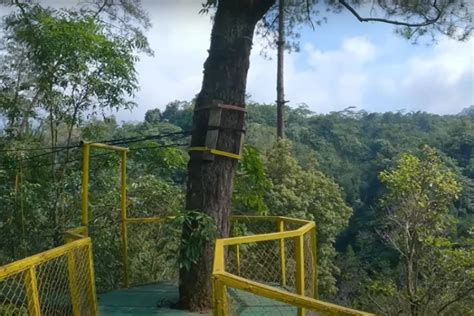 Menggoda Petualangan Dengan Keindahan Bukit Kali Kuning Di Lereng