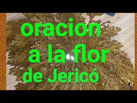 Descubre el poder de la oración rosa de Jericó para atraer dinero a tu