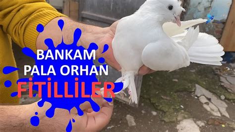 Bankam Pala Orhan Fitilliler Bilal Yaz Taklac G Vercin Ve Oyun