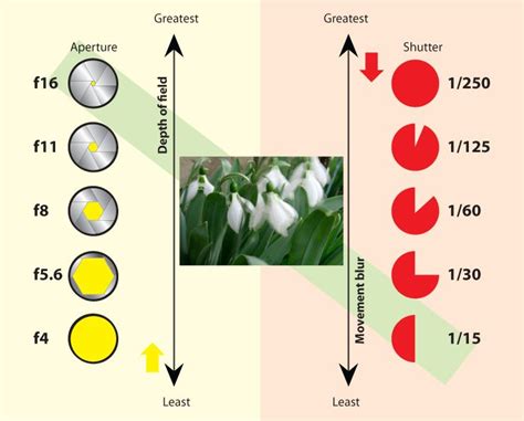 Aperture Vs Shutter Speed Aperture And Shutter Speed Shutter Speed