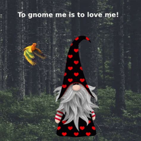 Gnomes Cute Gnomes Gnomes Cute Gnomes Discover Share GIFs