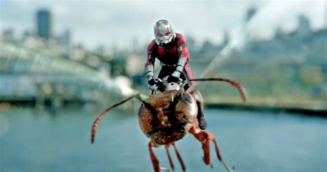 Shrink Into Action With These Top 10 Ant Man Moments Pipe Dream