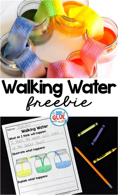 Walking Water Science Activity For Kids Elementary Science