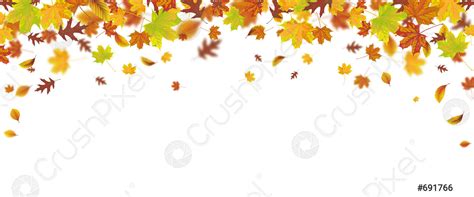 Autumn Foliage Fall Header - stock vector | Crushpixel