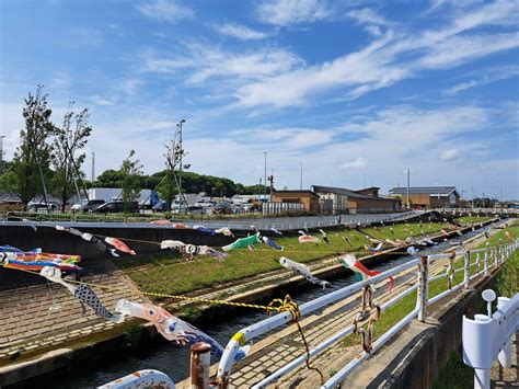 【市川市】「鯉のぼりフェスティバル」が今年も元気に開催中！ 「道の駅いちかわ」でもイベント開催！（yasteki） エキスパート Yahoo ニュース