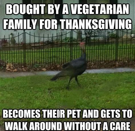 20 Happy Thanksgiving Memes To Help You Celebrate