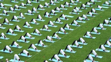 Yoga as good for low back pain as physiotherapy: study | CBC News