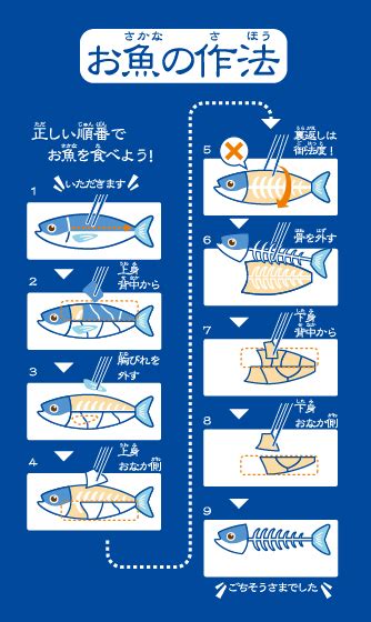 エデュトイ便り〜第4回 お魚の構造を知って、上手に食べよう！〜 アイアップ オフィシャル ブログ Layup Design Labo