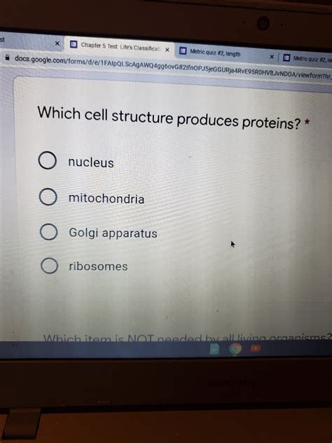 Answered Which Cell Structure Produces Proteins Bartleby