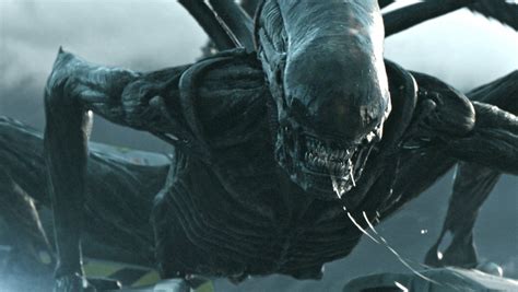 Alien Romulus Test Screening Reports Stunning Visuals Twists And