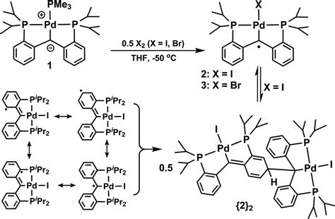 Palladium Carbene Complexes As Persistent Radicals Chemical Science