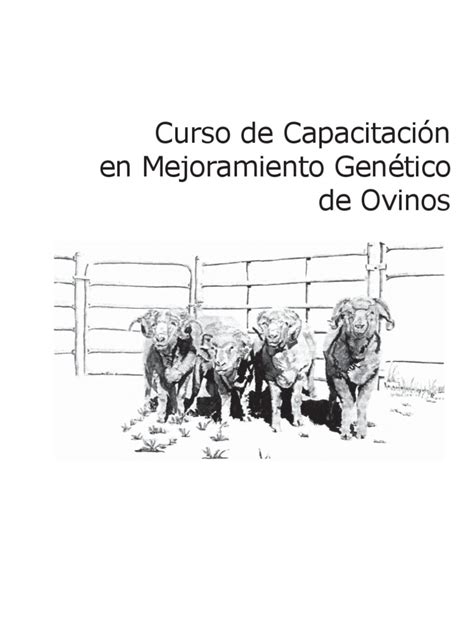 Curso De Mejoramiento Genetico En Ovinos Pdf