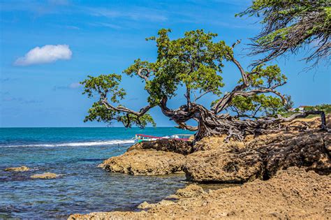 Discover Treasure Beach Jamaica Beaches