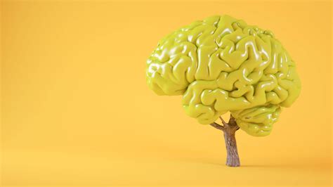 Download Psychology Yellow Brain Model Wallpaper