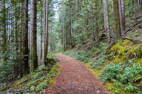 Hiking Sugar Mountain in Belcarra Regional Park - Best Hikes BC