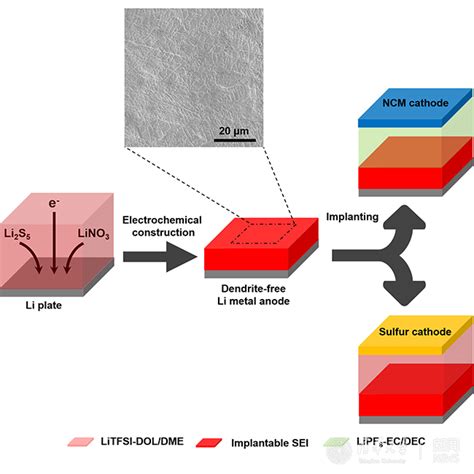 清华化工系张强团队合作建立保护金属锂负极的可移植界面 清华大学化学工程系