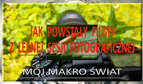 Jak powstały filmy z leśnej sesji fotograficznej Mój Makro Świat