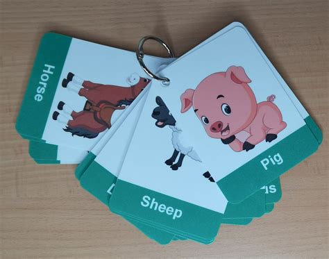 Animals Flashcards Cartoon Images for Toddlers Educational - Etsy