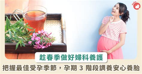 春季是婦科養護關鍵時節！「飲食x穴位」3 招調理經期 孕期 3 階段安心好孕 Heho親子