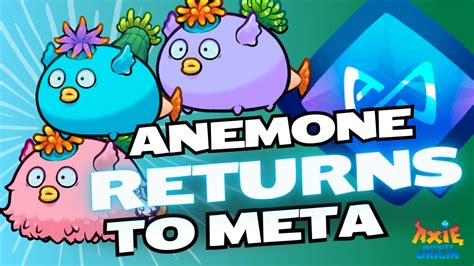 Cheap Anemone Team Is Back Axie Infinity Origin Leaderboard