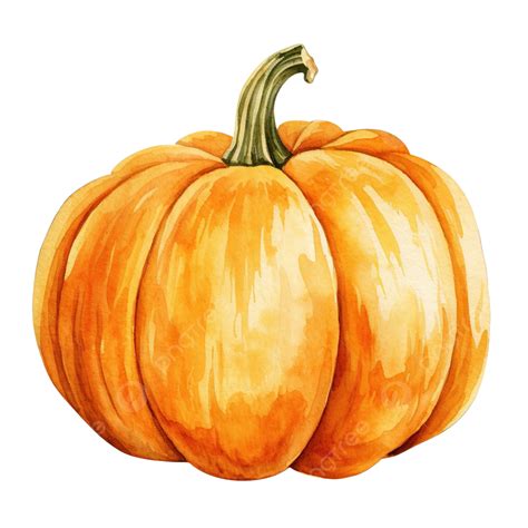 Watercolor Pumpkin Illustration Watercolor Autumn Pumpkins PNG