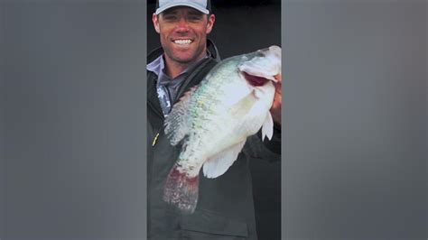 Record 426 Lb Crappie Weighed In On Grenada Lake Ms Crappie