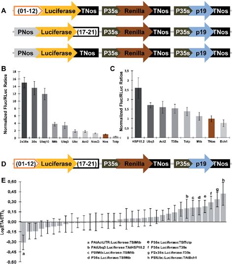 Figure From Design And Development Of Modular Dna Assembly Tools For