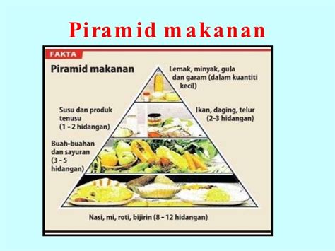 Piramid Makanan