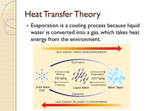 Ppt Lesson 15 Powerpoint Presentation Free Download Id2570149