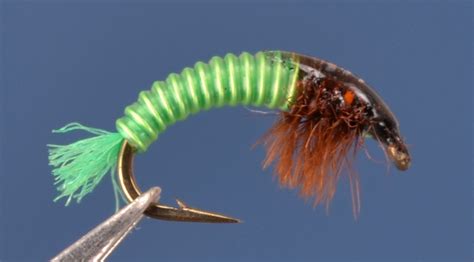 Electric Caddis Chartreuse And Brown Dette Flies