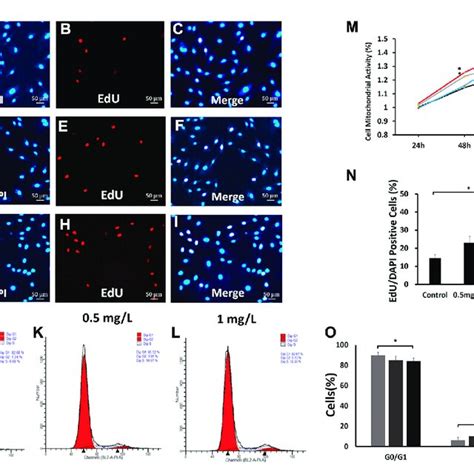 The Effects Of COS On Mitochondrial Activity Proliferation And Cell