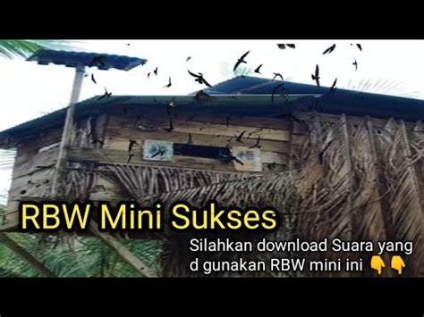 Rbw Mini Sukses Suara Walet Terbaik Sp Anti Galau Selalu Buat Onar