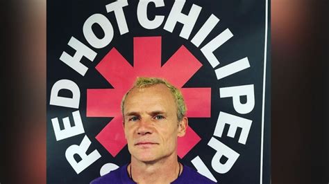 Red Hot Chili Peppers Historia Y Significado De Su Logo Sonica