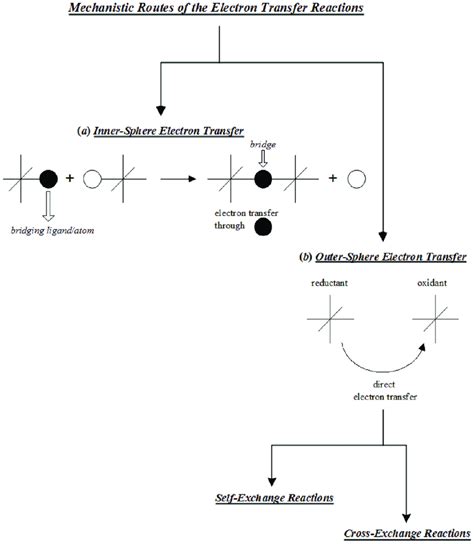 Schematic Representation Of The Redox Mechanism A The Inner Sphere