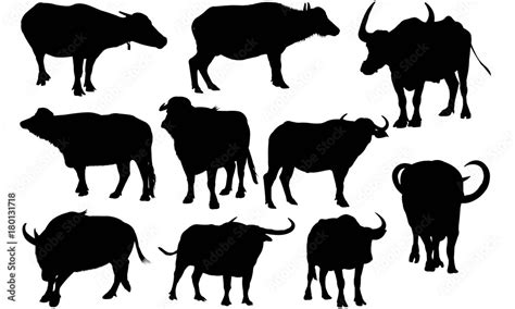 Water buffalo Silhouette Vector Graphics Stock Vector | Adobe Stock