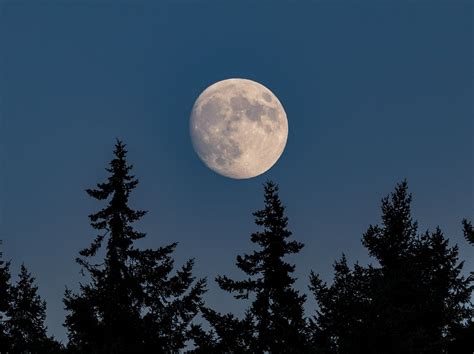 Der Vollmond Am 4 Juni 2023 Schenkt 3 Sternzeichen Einen Wundervollen