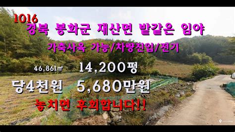 번호 1016 경북 봉화군 재산면 밭같은 임야 급매물 Youtube