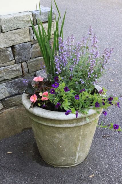 Seasonal Container Plantings Changeovers Classique Jardin