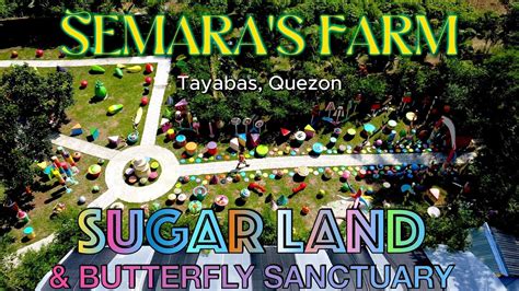 Bagong Pasyalan SUGAR LAND BUTTERFLY SUNCTUARY At Semara S Farm Brgy