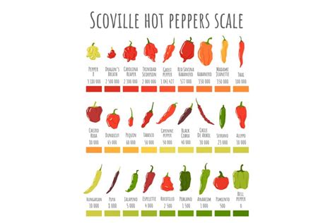 Scoville Hot Peppers Scale Hot Pepper Chart Spicy Level An