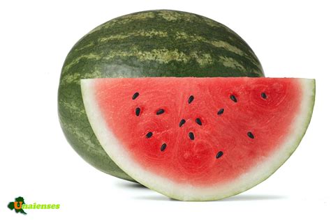 Melancia Tem Muita Açúcar - Unaienses: DICAS - Conheça os benefícios do suco de Melancia
