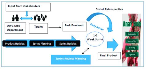 A Simplified Breakdown Of The Adopted Agile Scrum Methodology