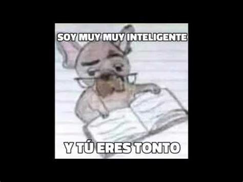 SOY MUY INTELIGENTE Y TU ERES TONTO YouTube